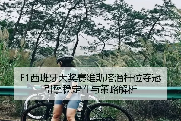 xi-ban-ya-da-jiang-sai-wei-si-ta-pan-gan-wei-duo-guan-yin-qing-wen-ding-xing-yu-ce-lve-jie-xi-2-466.jpg
